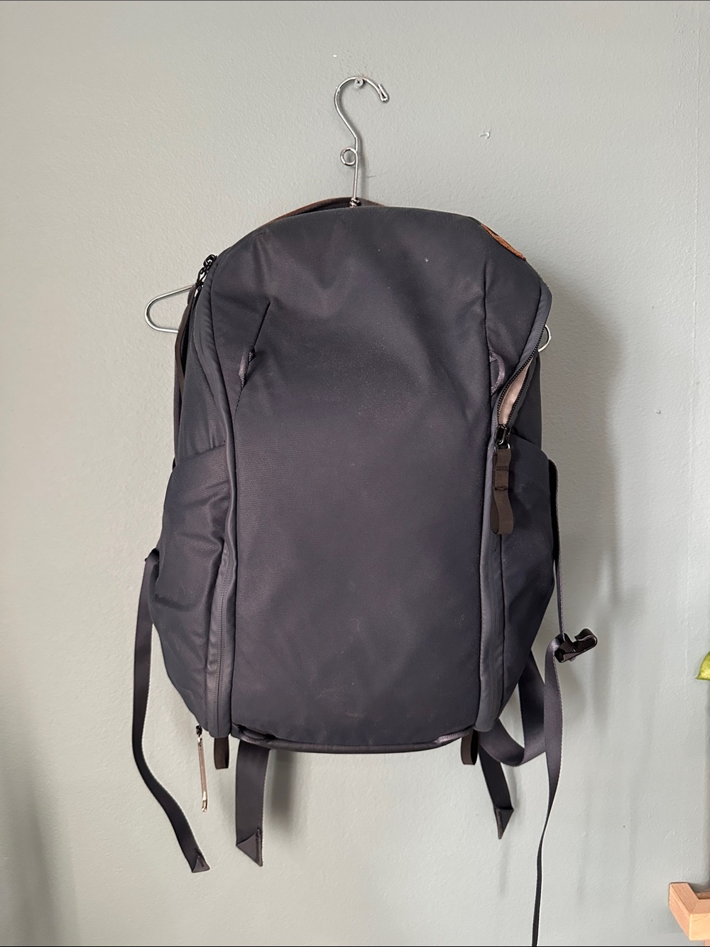 Peak Design Everyday Backpack Zip 20L